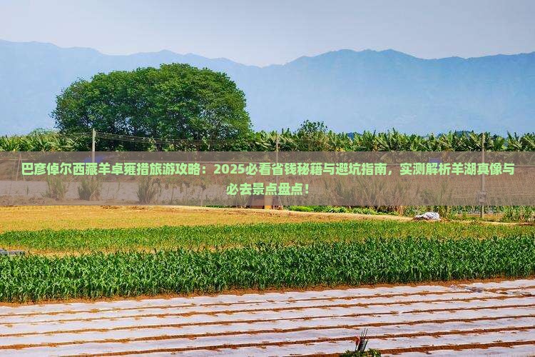 巴彦倬尔去西藏羊卓雍措旅游