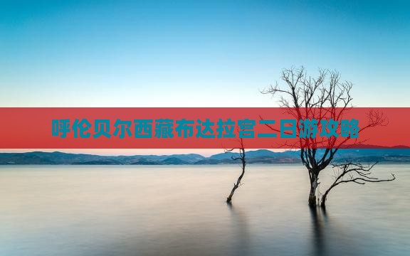 呼伦贝尔去西藏布达拉宫二日游
