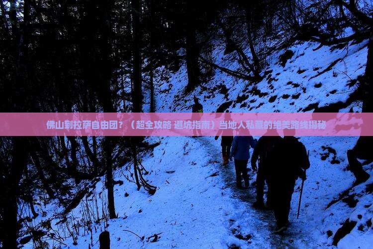 佛山去西藏拉萨自由团