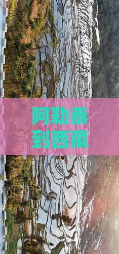 阿勒泰到西藏雅鲁藏布大峡谷五日游