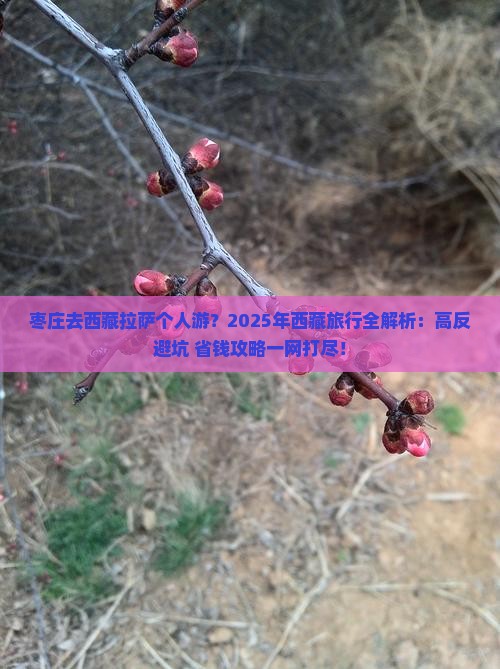 枣庄去西藏拉萨个人游