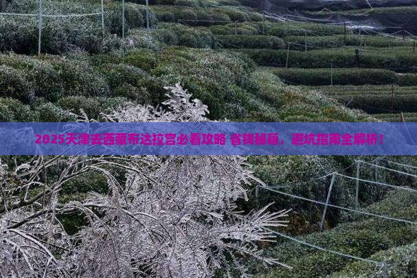 天津去西藏布达拉宫旅行社 天津去西藏布达拉宫旅行社