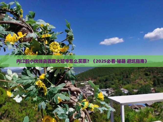 内江去西藏大昭寺门票 内江去西藏大昭寺门票