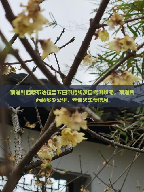 南通到西藏布达拉宫五日游