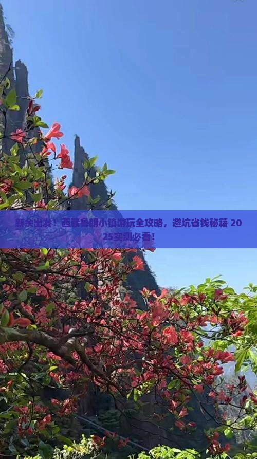 新余到西藏鲁朗小镇哪里玩