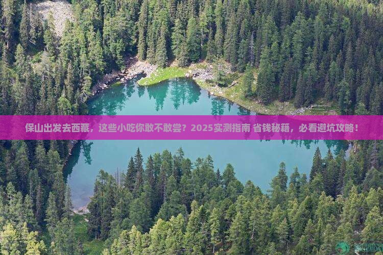 保山去西藏旅游小吃