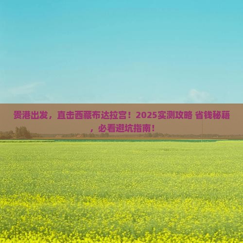 贵港去西藏布达拉宫自由行