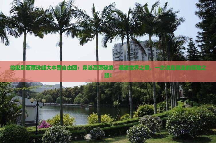 哈密到西藏珠峰大本营自由团