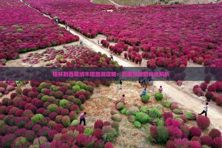 桂林到西藏纳木措旅游
