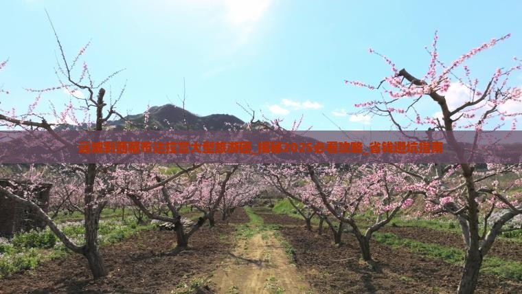 运城到西藏布达拉宫大型旅游团