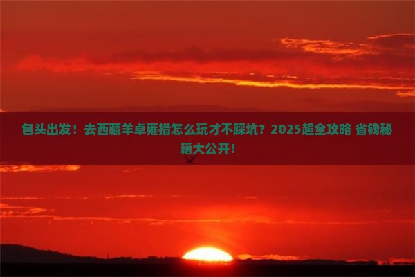 包头到西藏羊卓雍措大型旅游团