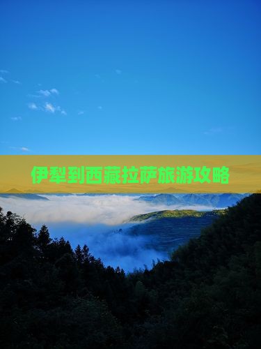 伊犁去西藏拉萨自由团