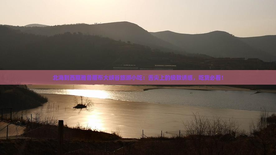 北海到西藏雅鲁藏布大峡谷旅游小吃
