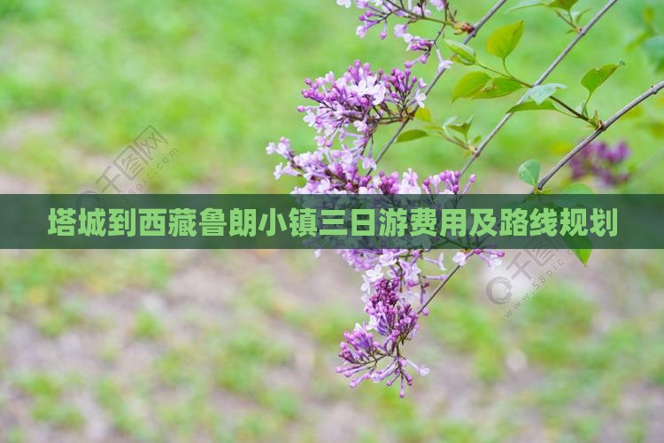 塔城到西藏鲁朗小镇三日游