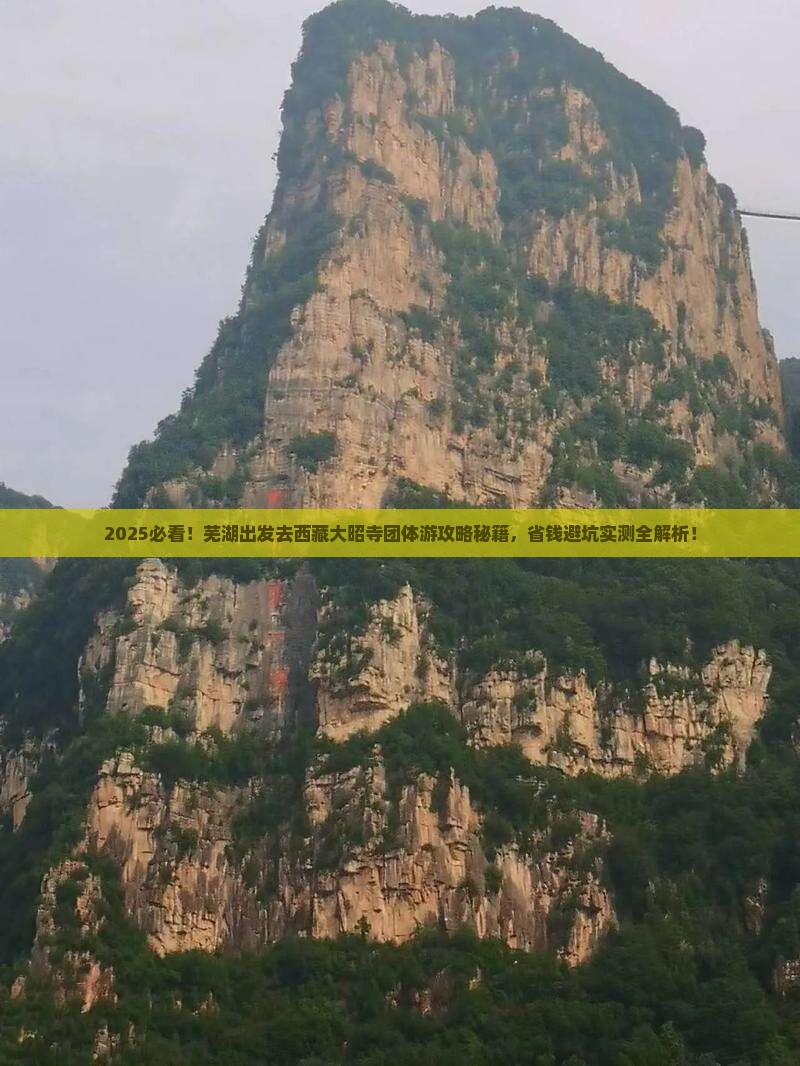 芜湖到西藏大昭寺团体旅游