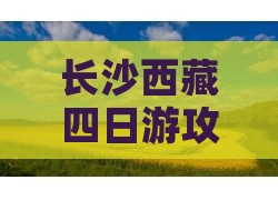 长沙去西藏卡定沟四日游