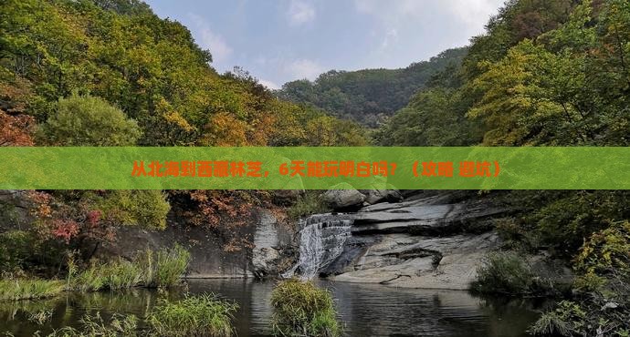 北海到西藏林芝六日游