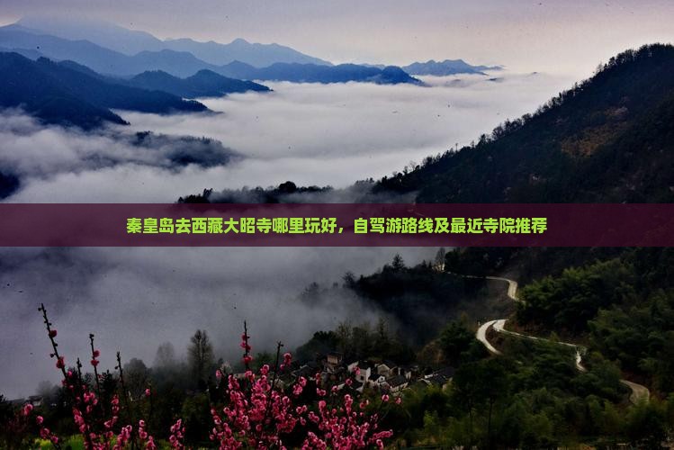 秦皇岛去西藏大昭寺哪里玩