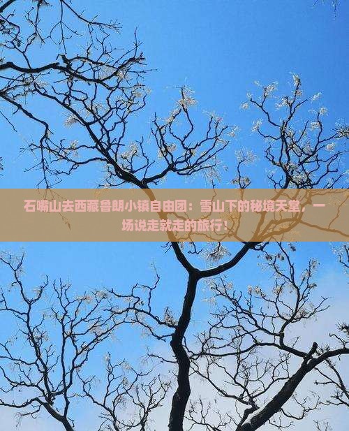 石嘴山去西藏鲁朗小镇自由团