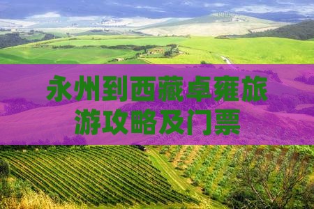 永州到西藏羊卓雍措门票
