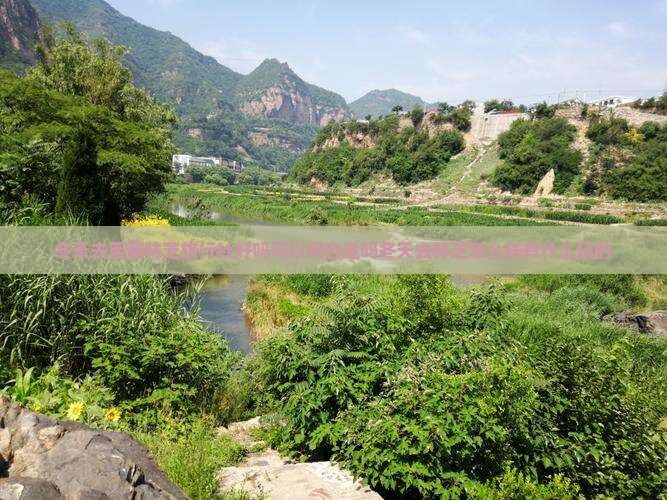 冬天去西藏林芝旅行社