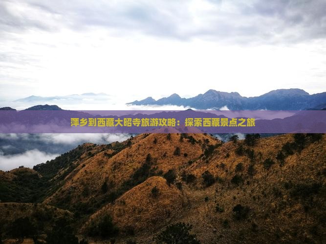 萍乡到西藏大昭寺旅游