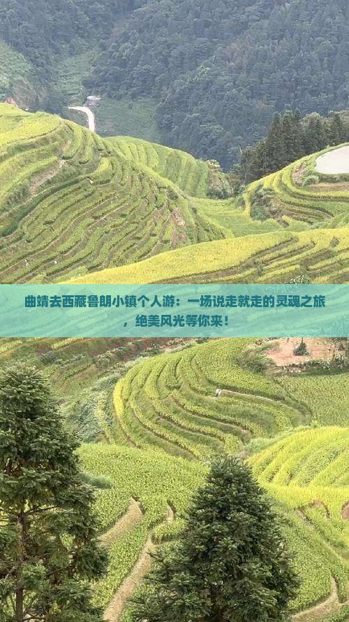 曲靖去西藏鲁朗小镇个人游