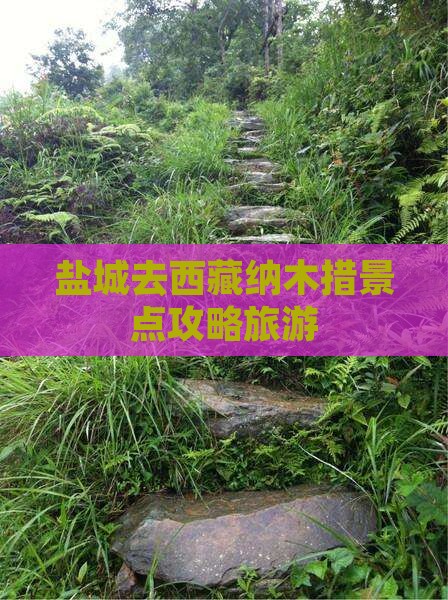盐城去西藏纳木措哪里玩