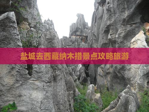 盐城去西藏纳木措哪里玩