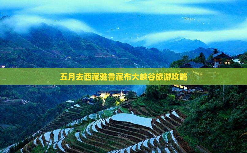 五月去西藏雅鲁藏布大峡谷一日