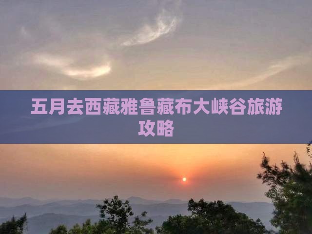 五月去西藏雅鲁藏布大峡谷一日