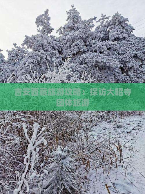 吉安去西藏大昭寺团体旅游