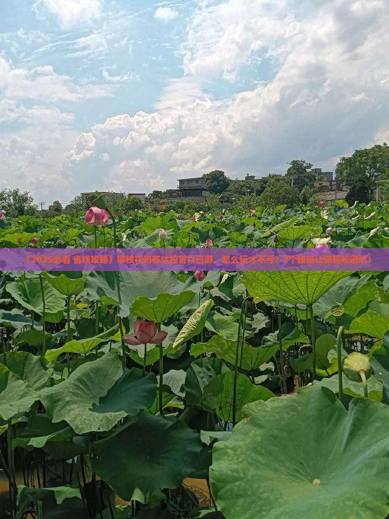 攀枝花到西藏布达拉宫六日游