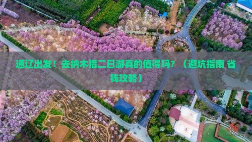 通辽到西藏纳木措二日游