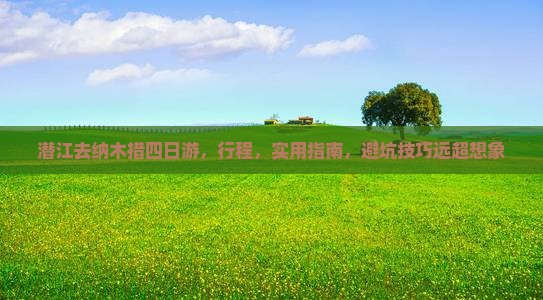 潜江去西藏纳木措四日游