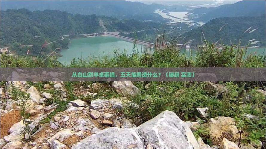 白山到西藏羊卓雍措五日游