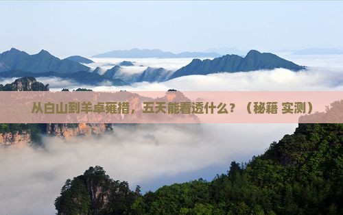 白山到西藏羊卓雍措五日游