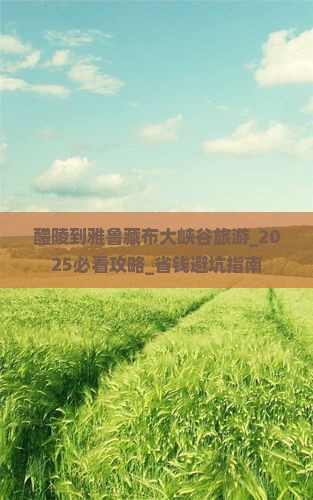 醴陵到西藏雅鲁藏布大峡谷旅游