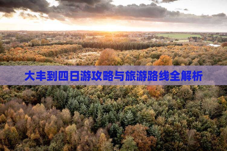 大丰到西藏四日游