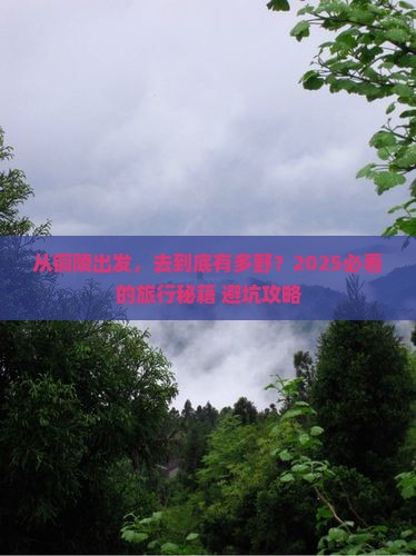 铜陵到西藏旅游