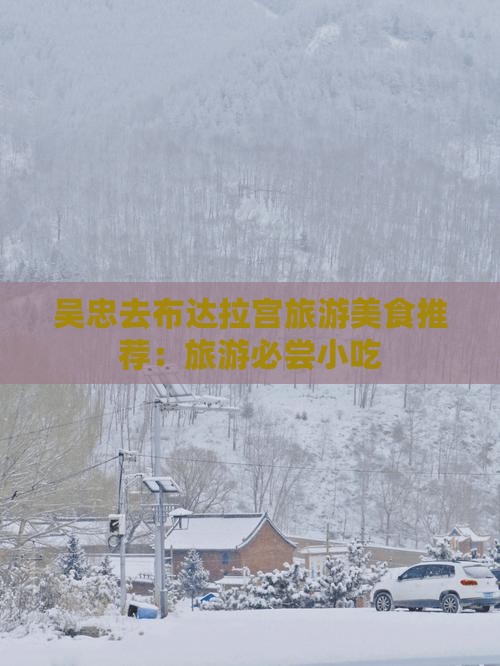 吴忠去西藏布达拉宫旅游小吃