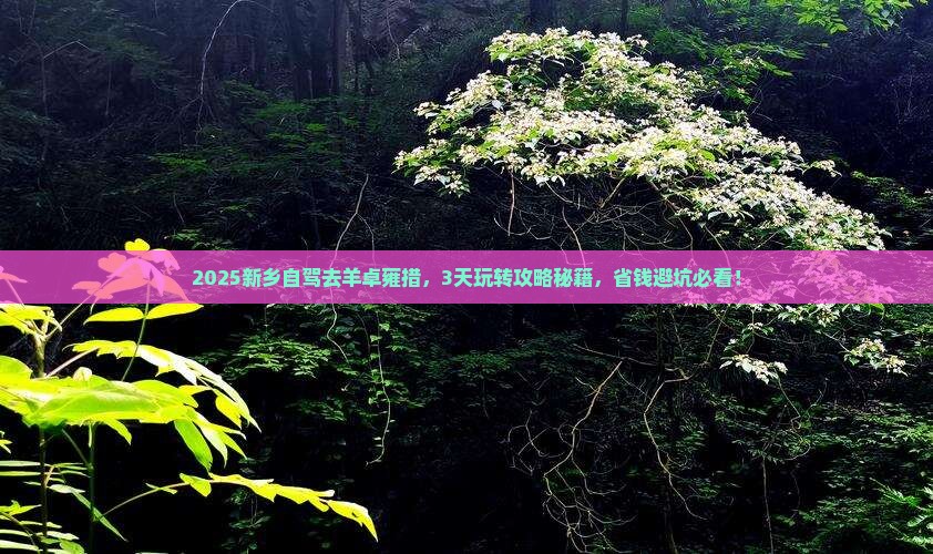 新乡到西藏羊卓雍措攻略