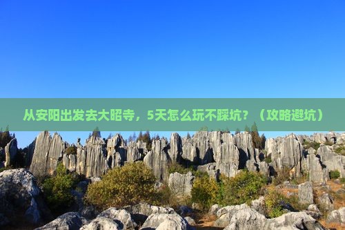 安阳去西藏大昭寺景点