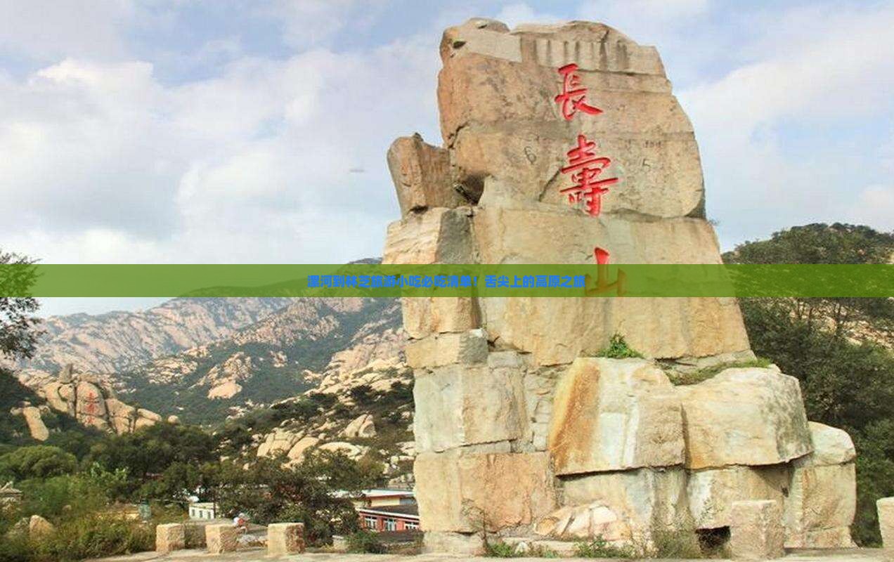 漯河到西藏林芝旅游小吃