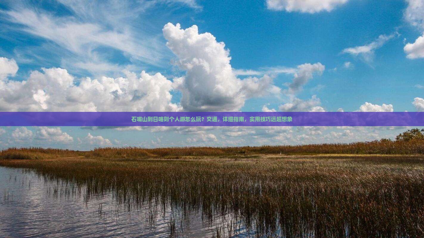 石嘴山到西藏日喀则个人游
