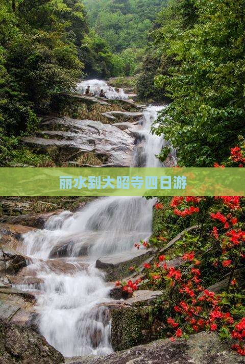 丽水到西藏大昭寺四日游