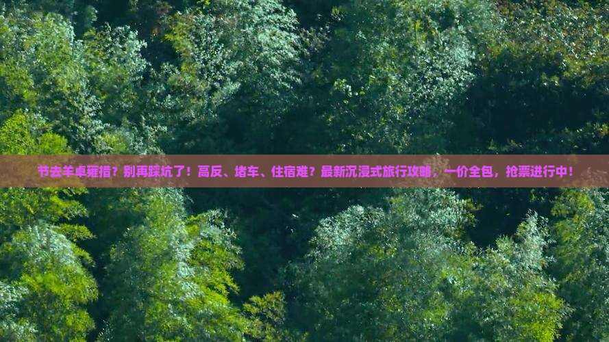 国庆节到西藏羊卓雍措旅行社