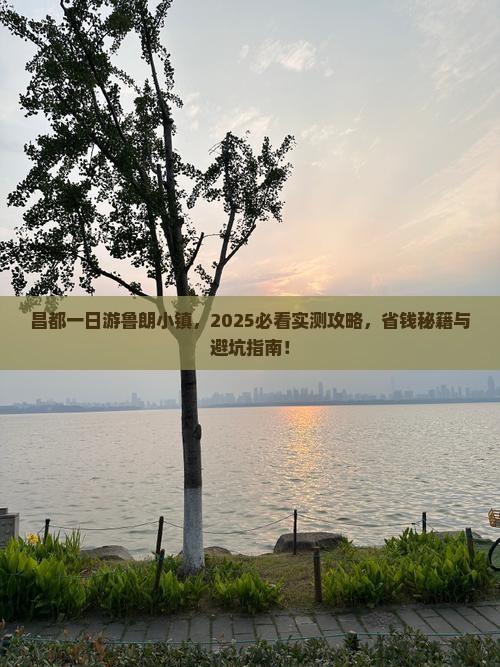 昌都去西藏鲁朗小镇一日