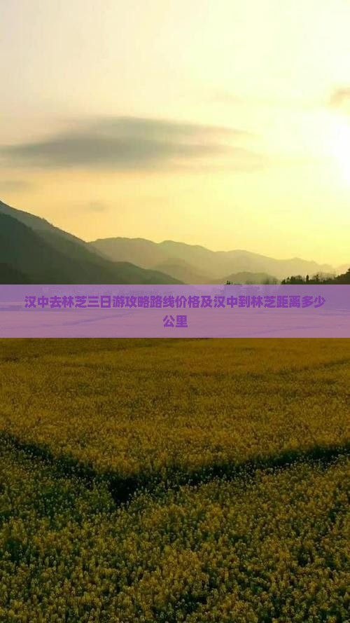 汉中去西藏林芝三日游