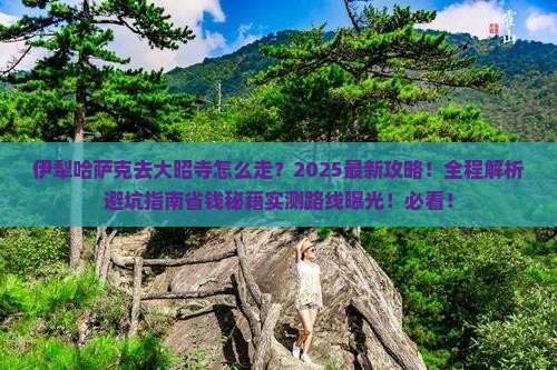 伊犁哈萨克去西藏大昭寺攻略